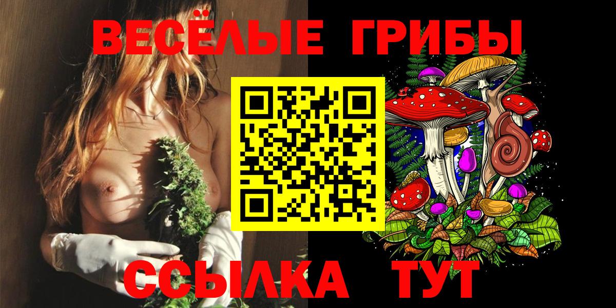 Псилоцибиновые грибы Cubensis Сосновый Бор