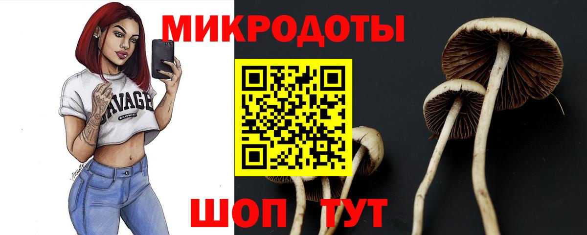 Псилоцибиновые грибы мухоморы  Вход с VPN  наркота  Псилоцибиновые грибы Psilocybine cubensis  Сосновый Бор 